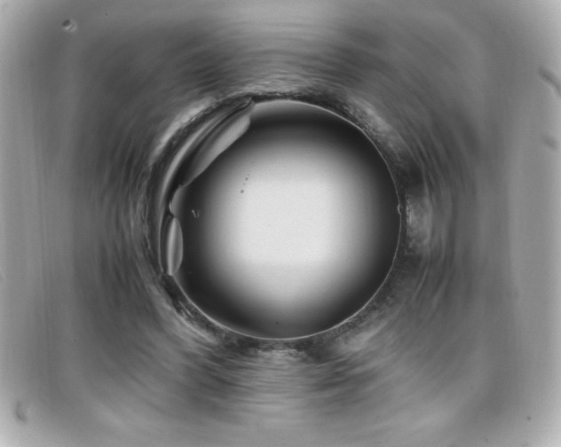 X0000099470396200805091551