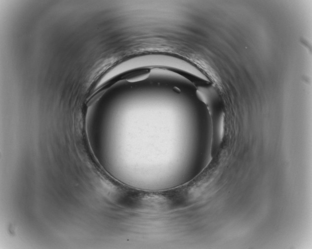 X0000099470397200805091551