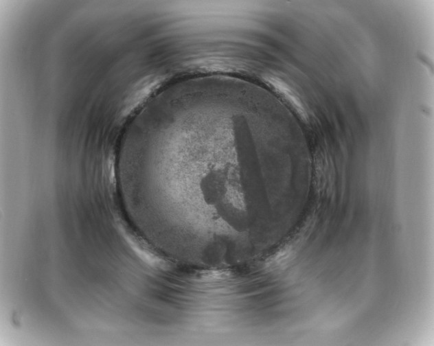 X0000099470398200805091551