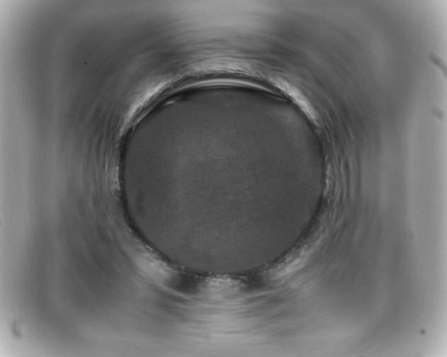 X0000099470399200805091551