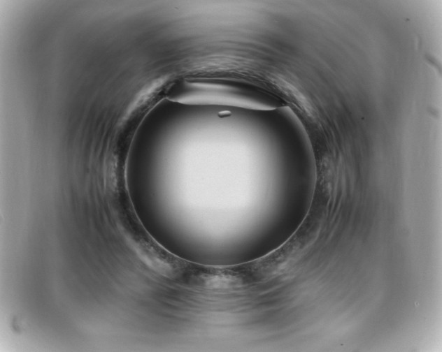 X0000099470400200805091551
