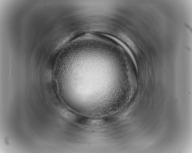 X0000099470401200805091551