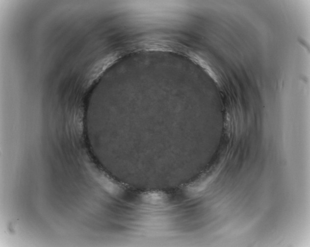 X0000099470402200805091551