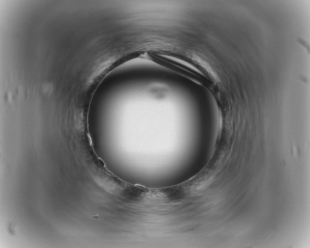 X0000099470403200805091551