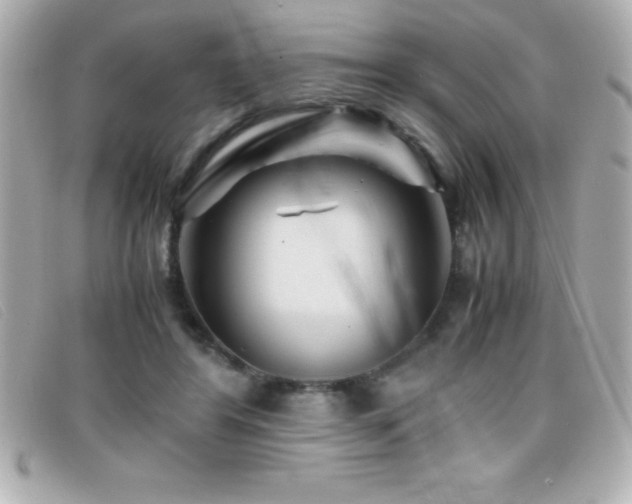 X0000099470404200805091551
