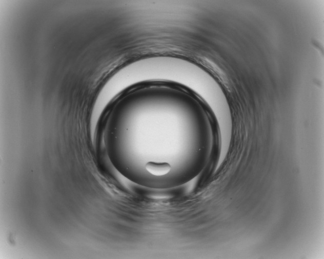 X0000099470405200805091551