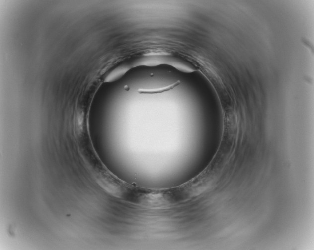 X0000099470406200805091551
