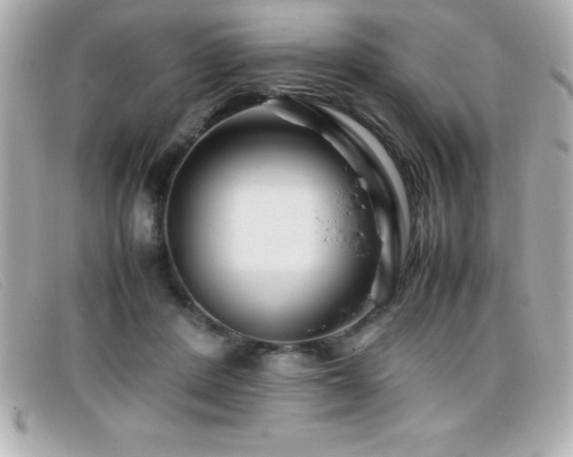 X0000099470408200805091551