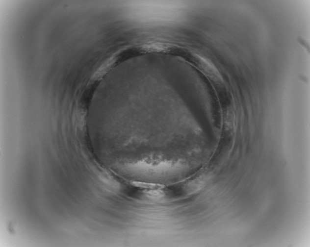 X0000099470409200805091551