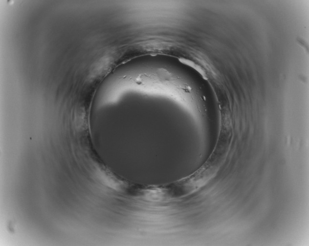 X0000099470411200805091551