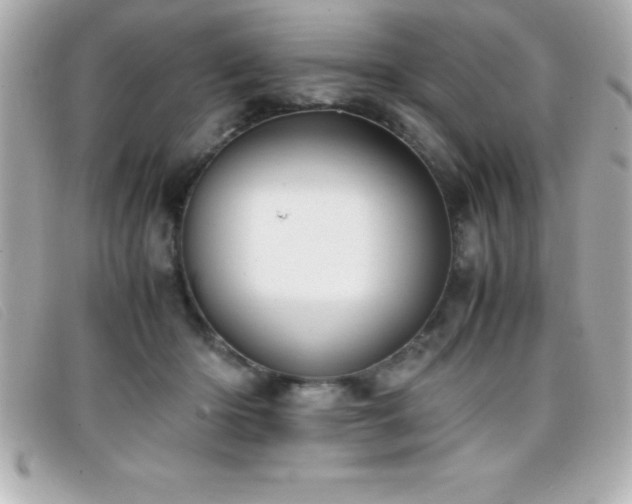 X0000099470414200805091551