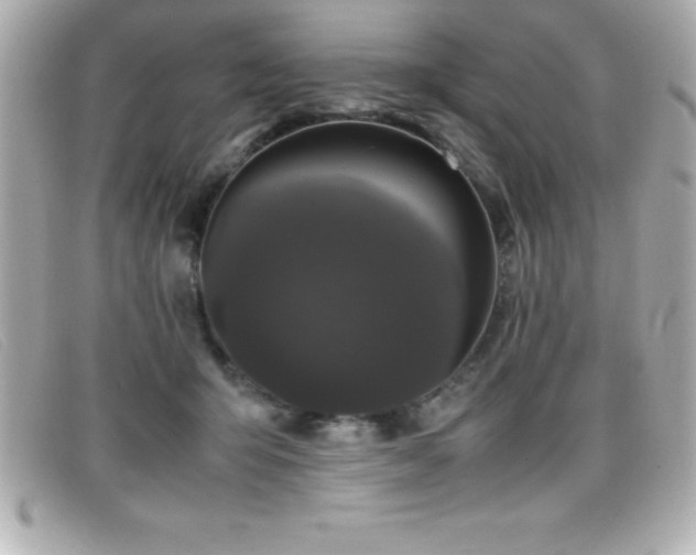 X0000099470415200805091551