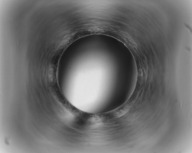 X0000099470416200805091551