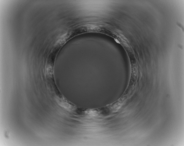 X0000099470419200805091551