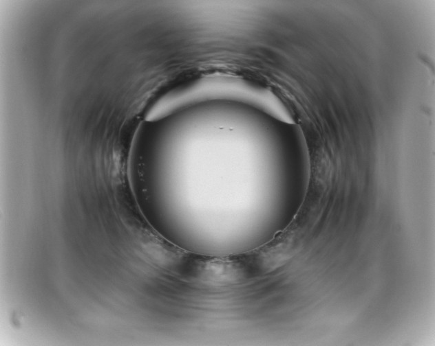 X0000099470420200805091551