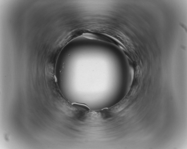 X0000099470421200805091551