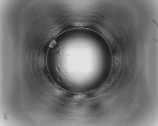 X0000099470422200805091551
