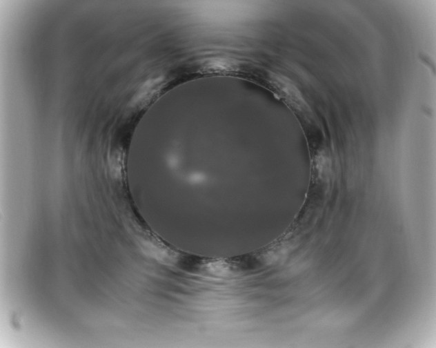 X0000099470423200805091551