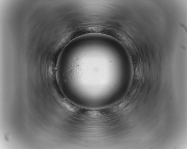 X0000099470424200805091551