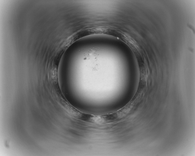 X0000099470425200805091551