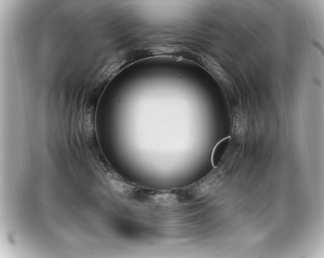 X0000099470426200805091551