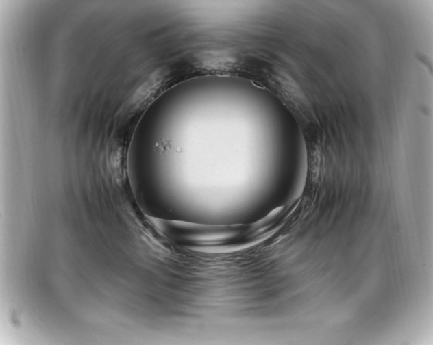 X0000099470428200805091551