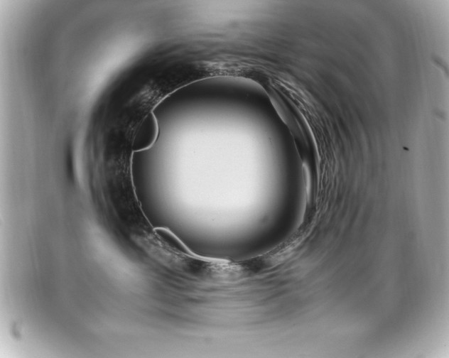 X0000099470429200805091551