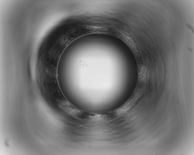 X0000099470430200805091551