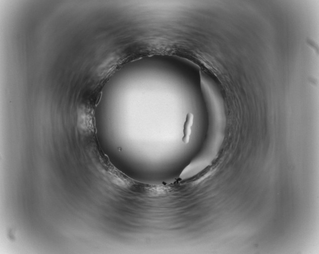 X0000099470432200805091551