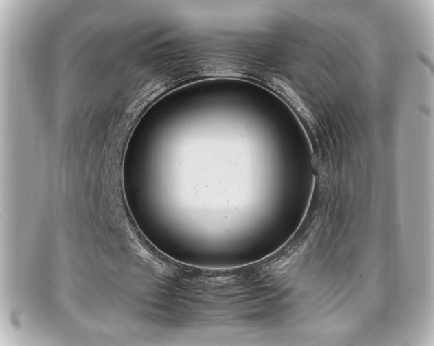 X0000099470433200805091550