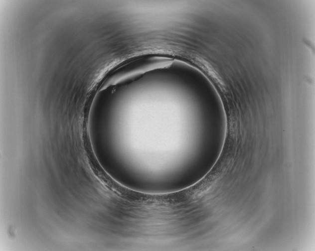 X0000099470434200805091550