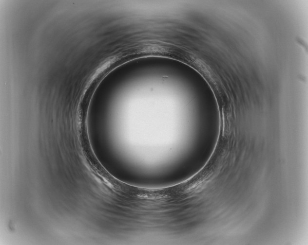X0000099470435200805091550