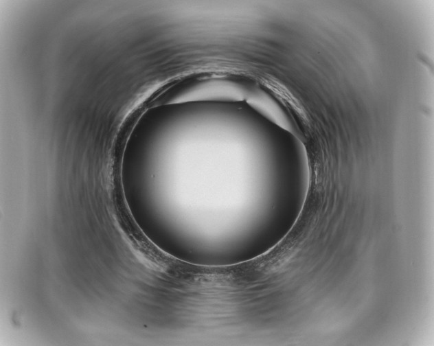 X0000099470436200805091550