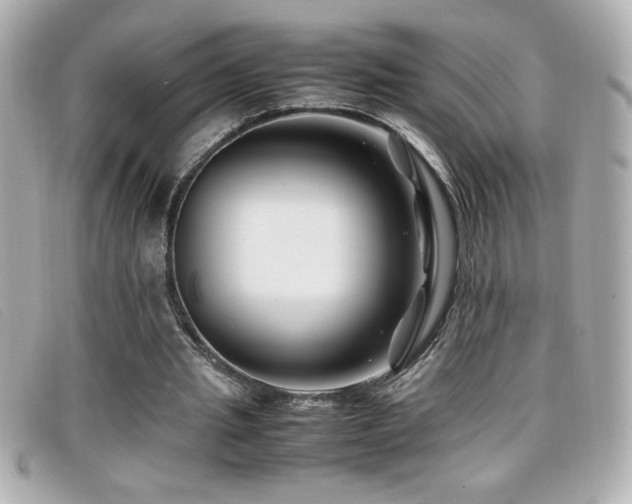 X0000099470437200805091550