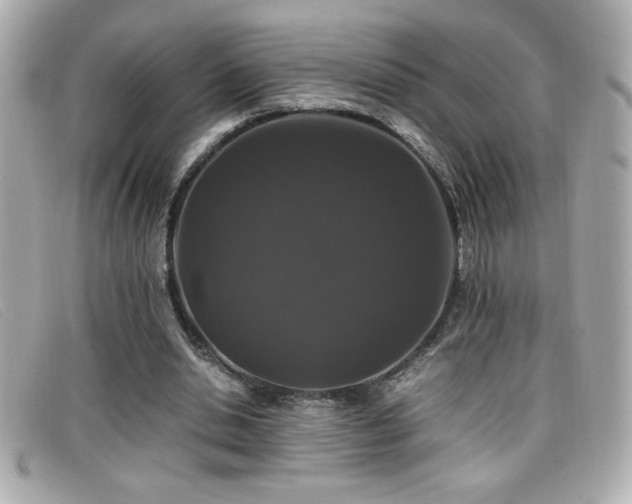 X0000099470438200805091550