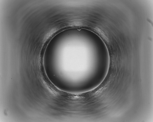 X0000099470439200805091550