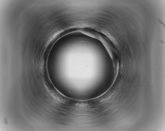 X0000099470440200805091550