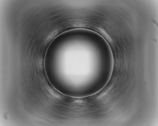 X0000099470441200805091550