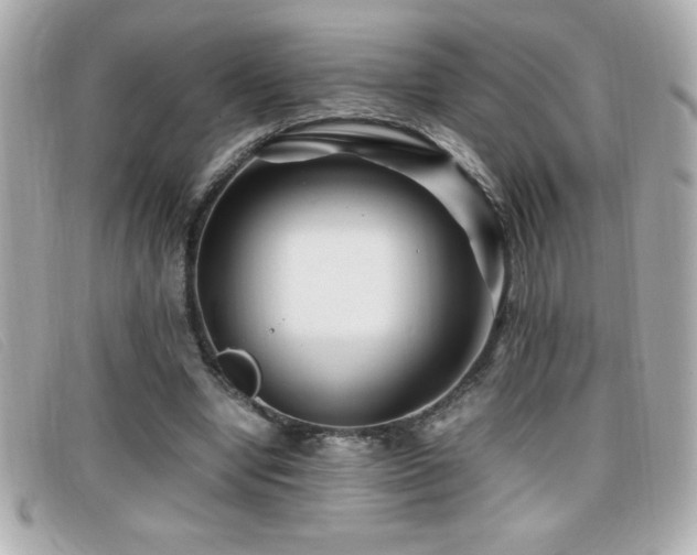 X0000099470442200805091550