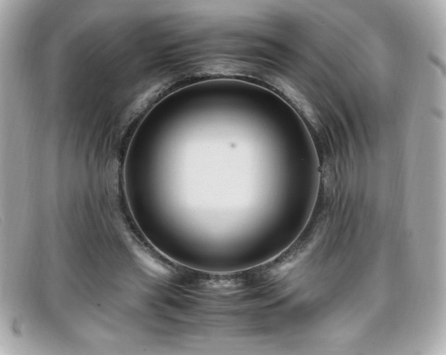 X0000099470445200805091550