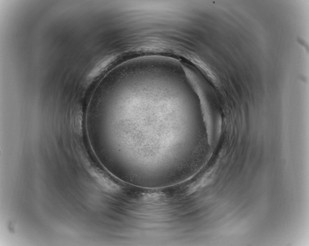 X0000099470446200805091550