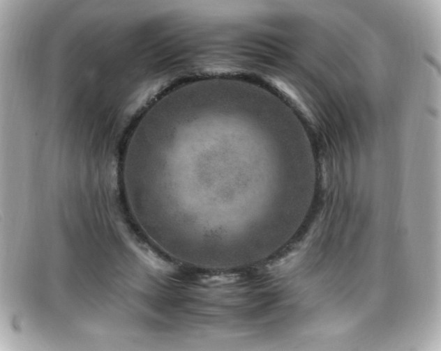 X0000099470447200805091550