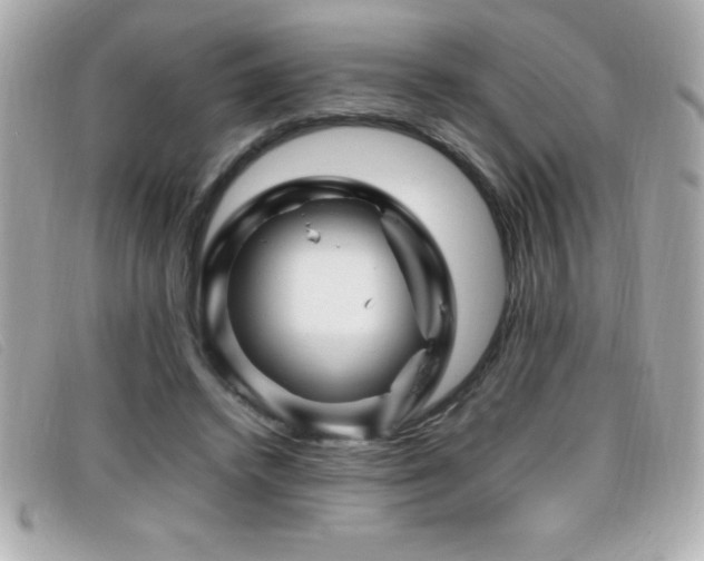 X0000099470448200805091550