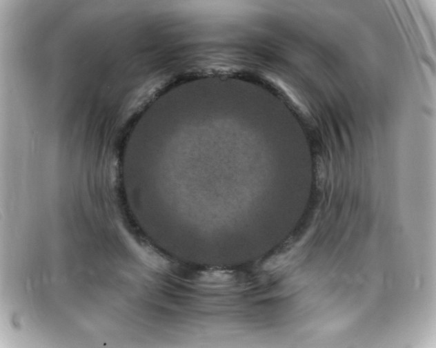 X0000099470451200805091551