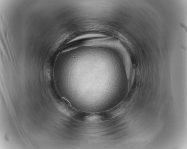 X0000099470452200805091551