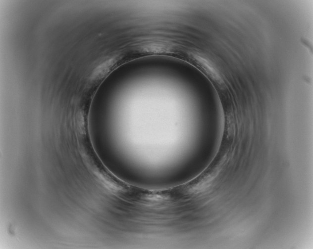 X0000099470453200805091551