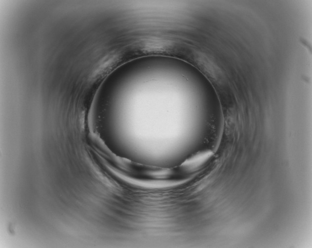 X0000099470454200805091551
