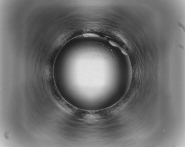 X0000099470455200805091551
