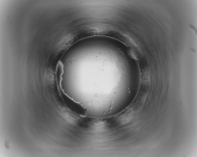 X0000099470456200805091551