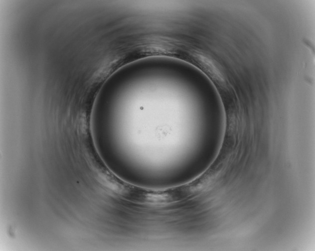 X0000099470457200805091551